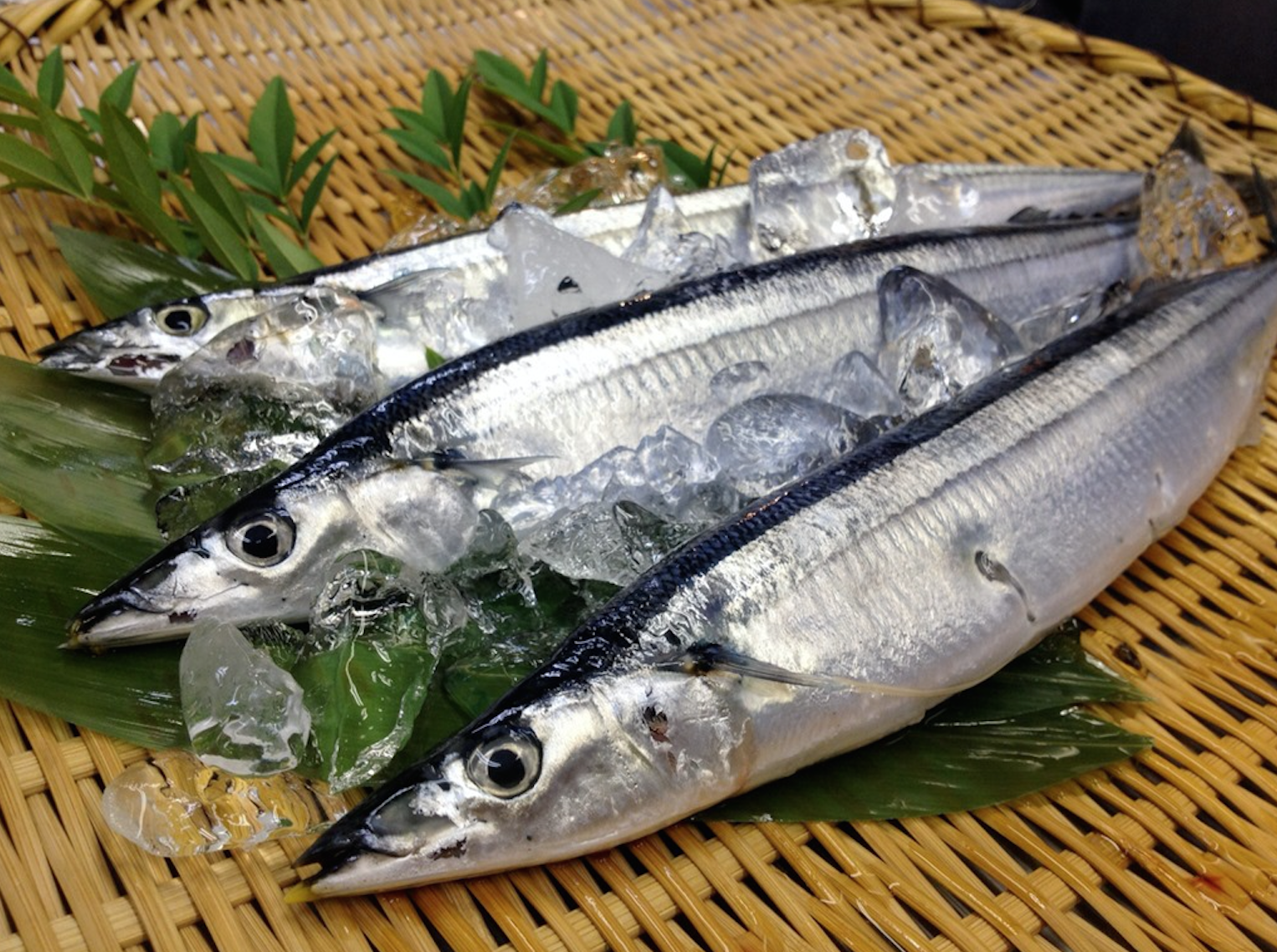 さんまにはどんな栄養があるの その効能とは はてなスッキリ さんまにはどんな栄養があるの その効能とは はてなスッキリ