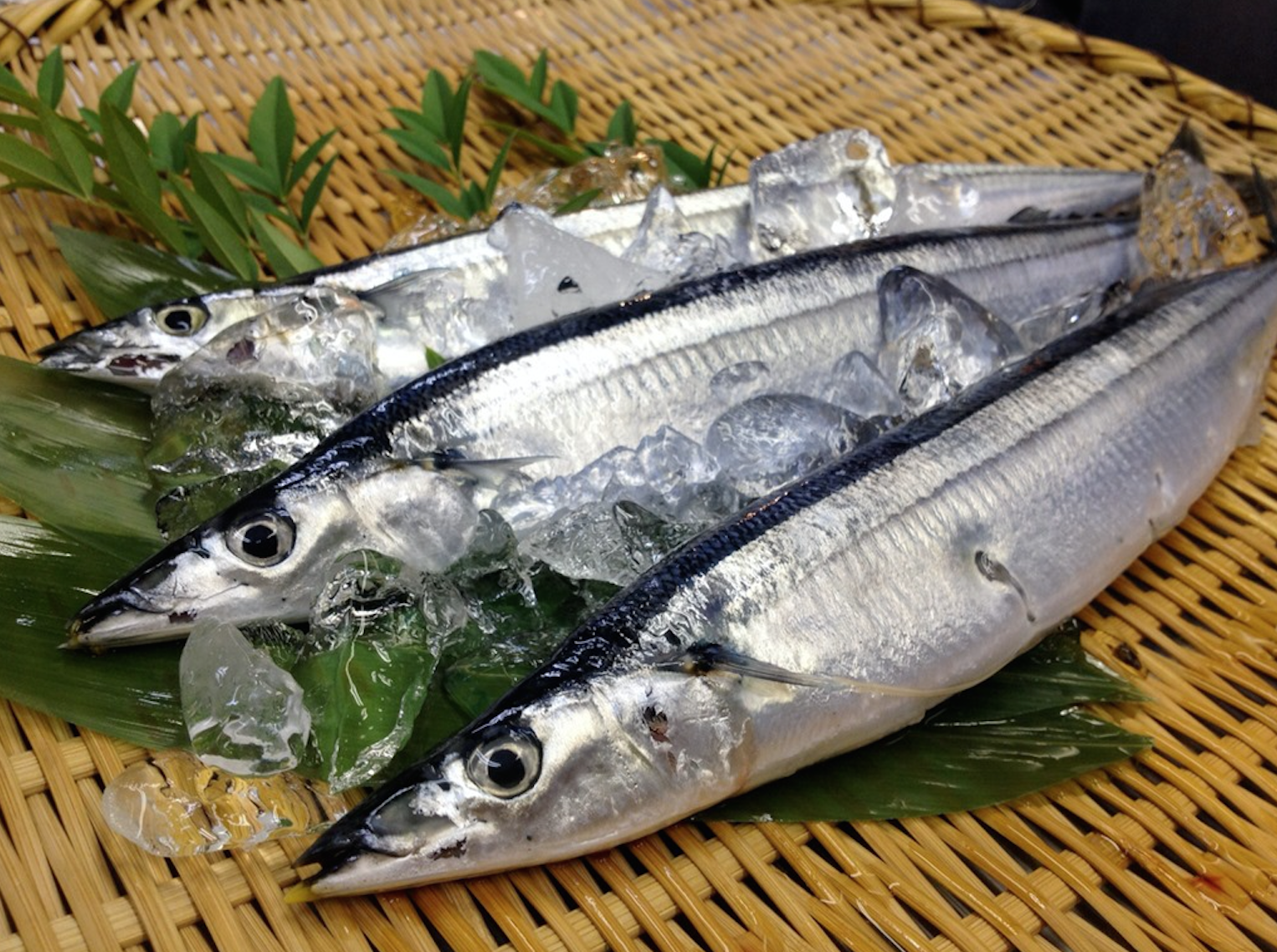 さんまにはどんな栄養があるの その効能とは はてなスッキリ