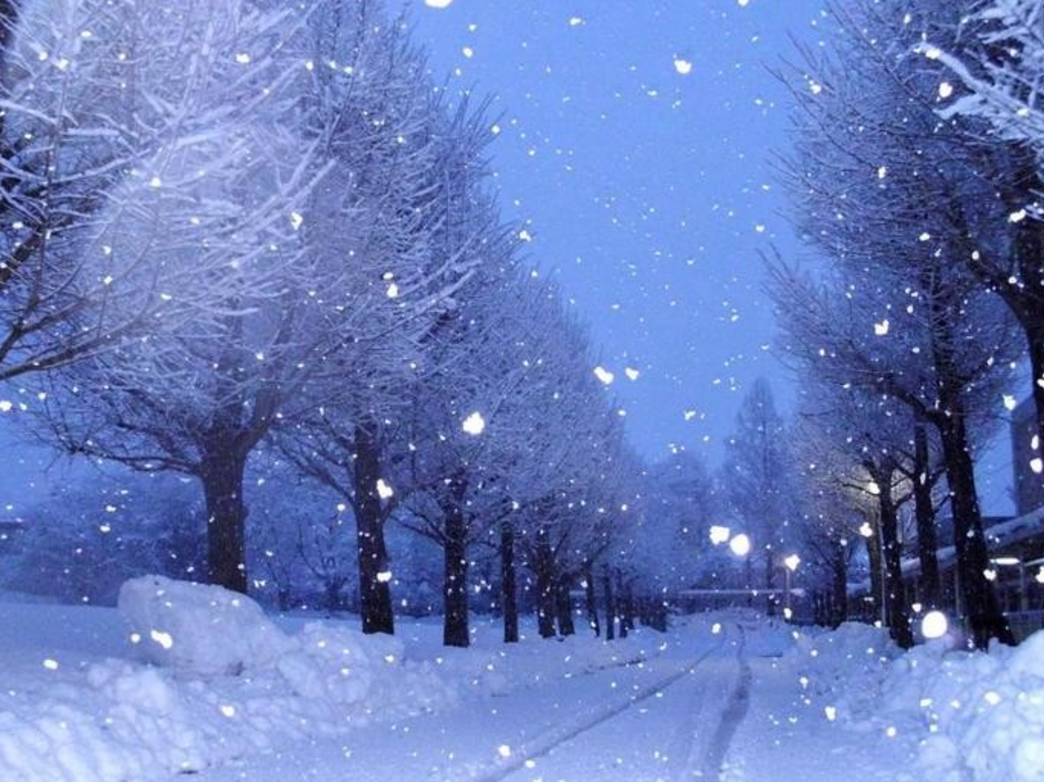 よく 晴れ た 空 に 雪が 降る よう な 意味