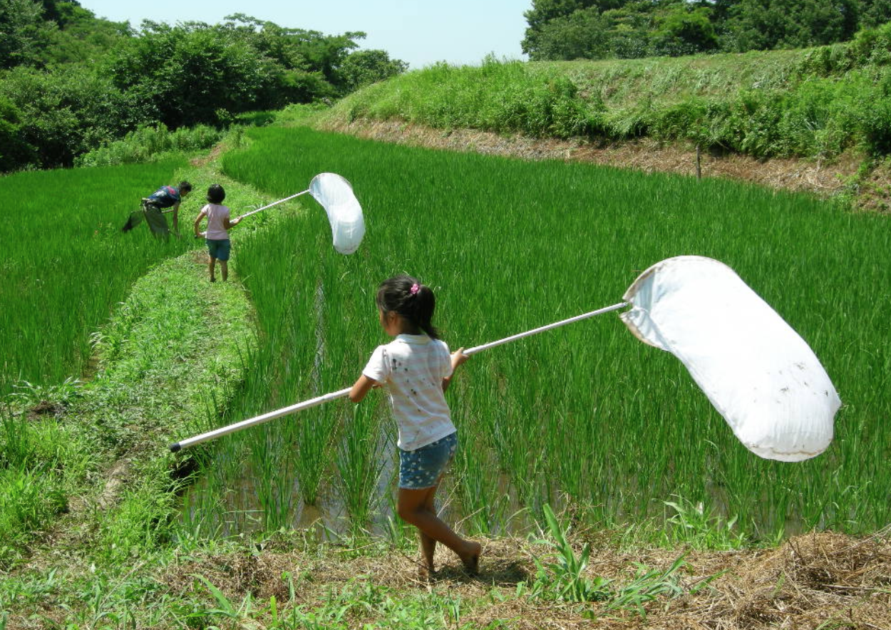 夏休みはどう過ごす 共働き家庭の子供はどうすればいいの はてなスッキリ