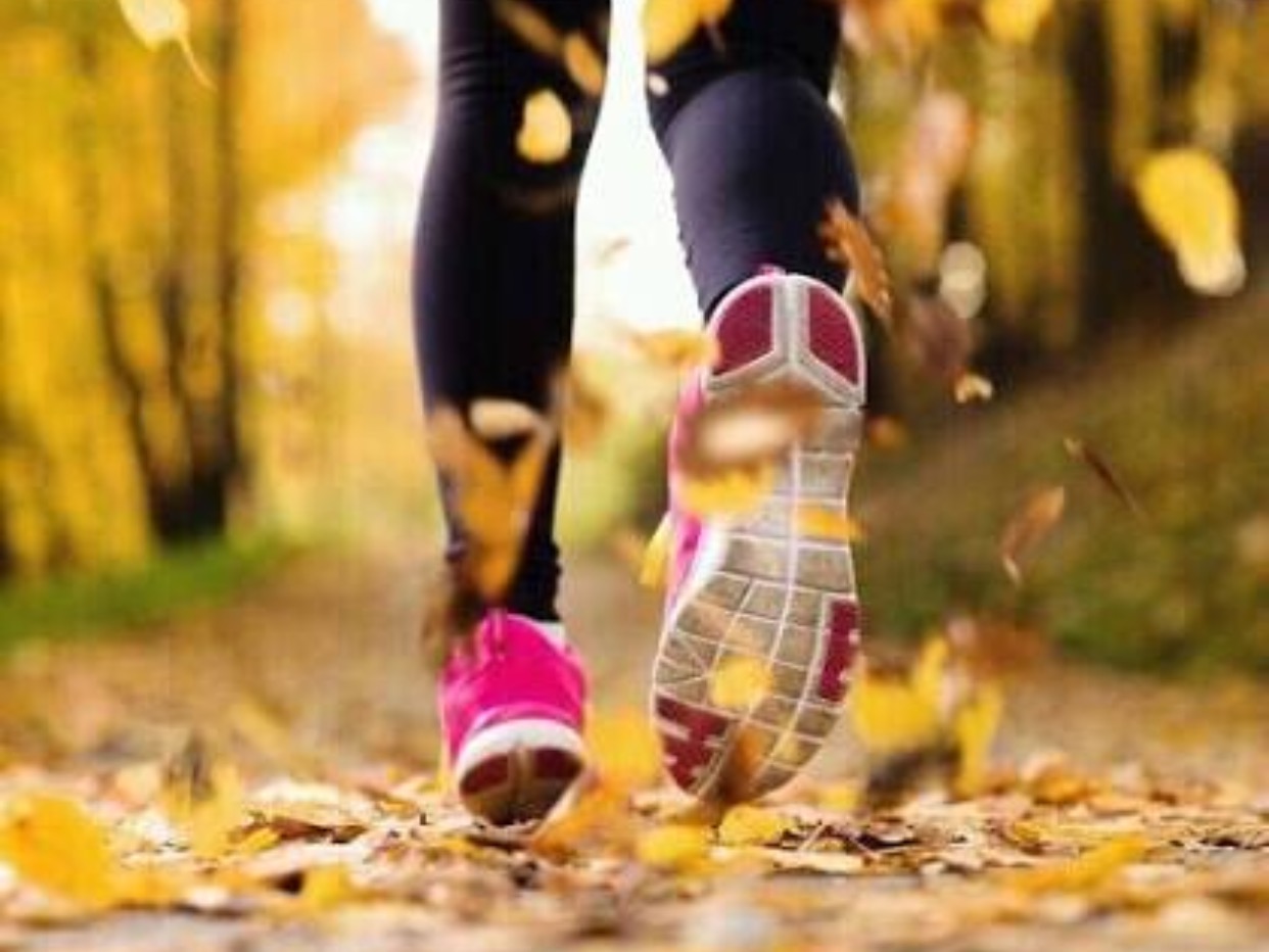 スポーツの秋 なぜ秋なの 由来や豆知識をご紹介します はてなスッキリ