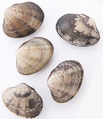 あさりの食中毒は加熱で予防できるの 潜伏期間や症状は はてなスッキリ