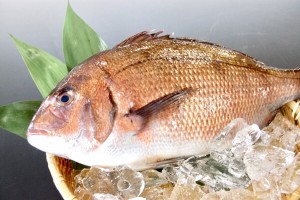 白身魚のムニエル 魚の種類は何があるの はてなスッキリ