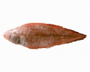 白身魚のムニエル 魚の種類は何があるの はてなスッキリ