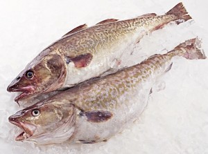 白身魚のムニエル 魚の種類は何があるの はてなスッキリ