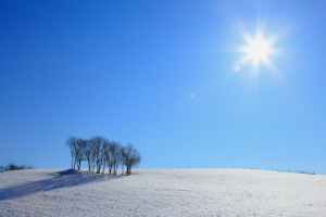 冬の晴れた日はどんな言葉で表せばいい 5つの表現を紹介します はてなスッキリ
