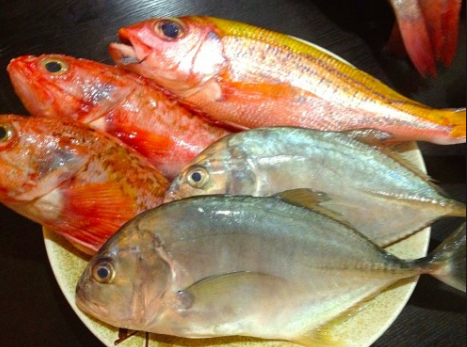 白身魚の正体が知りたい！白身魚ってどんな魚？フライに使うのは？ | はてなスッキリ