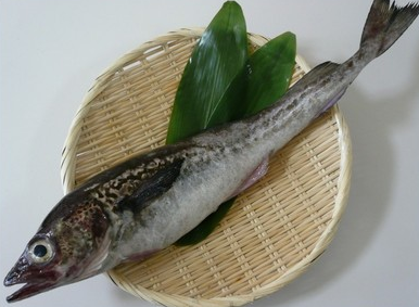 白身魚の正体が知りたい！白身魚ってどんな魚？フライに使うのは？ | はてなスッキリ